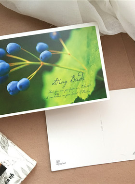 SAN 绝版泰戈尔飞鸟集唯美系列明信片横款350G单张