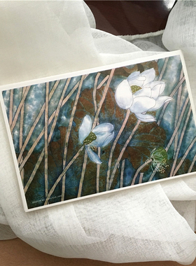 SAN 白荷静出静待 店里更多背面空白明信片邮寄祝福贺卡定制荷花