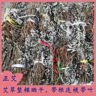 整棵带根干艾草艾叶草干艾草家用新鲜泡脚去湿气泡澡足浴月里洗头