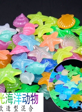 2.5-3CM大夜光石海洋石贝壳海星海螺 高亮多彩夜光石鱼缸造景点缀