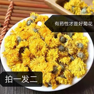 河南焦作温县特产怀菊花淮无硫农家天然自晒败火养肝100g