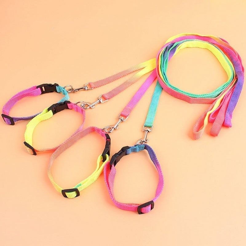 猫狗牵引绳七彩项圈胸背带小型犬牵引绳猫咪牵引带栓狗绳遛狗绳