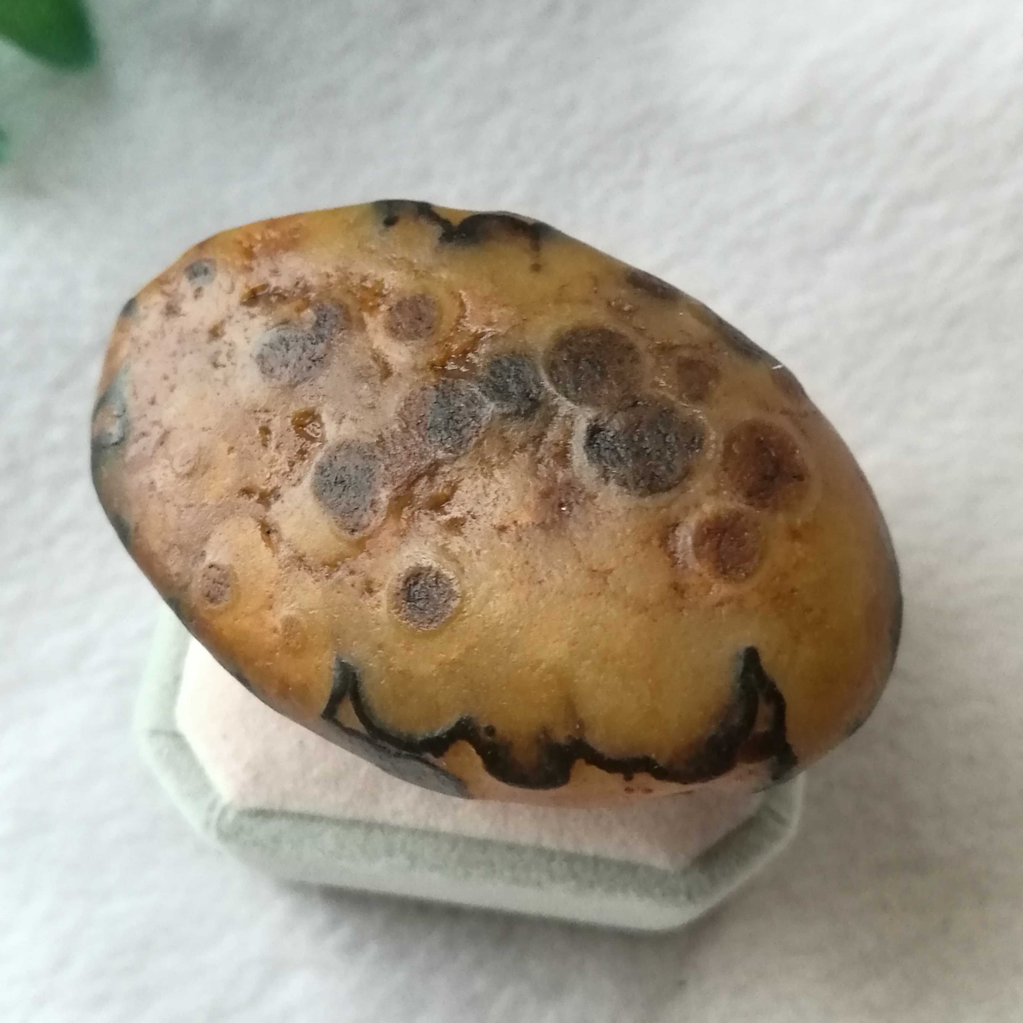 纯天然马岛玛瑙原石小摆件，花纹8，黑线圈鸟头 小精品 物超所值