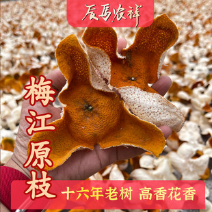 2025年新会大红皮梅江十六年树龄生晒甜香原枝陈皮大红冬后