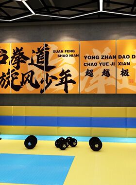 武术搏击拳馆跆拳道馆文化墙贴体