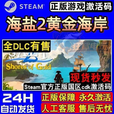 海盐2黄金海岸正版Steam