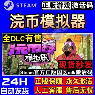 浣币模拟器 正版Steam激活码CDK入库Cash Cleaner Simulator全DLC