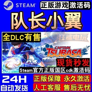 队长小翼 新秀崛起 正版Steam激活码CDKey入库全DLC 体育足球游戏