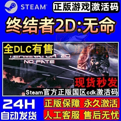 终结者2D无命正版Steam