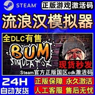 流浪汉模拟器 正版Steam激活码CDKey入库 Bum Simulator全DLC游戏