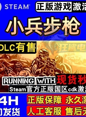 小兵步枪 正版Steam激活码CDKey入库 RUNNING WITH RIFLES 全DLC
