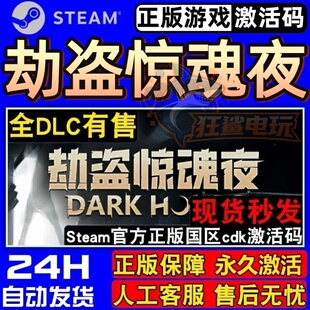 劫盗惊魂夜正版Steam激活码CDKey入库Dark Hours多人官方联机游戏