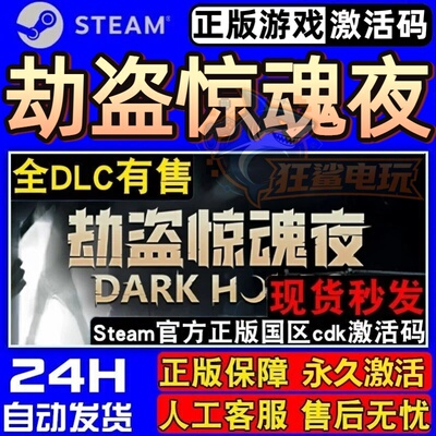 劫盗惊魂夜正版Steam激活