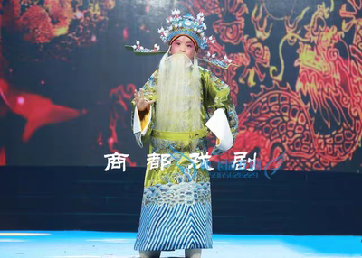 戏曲服装甘露寺劝千岁戏曲服丞相服京剧演出服租赁淮河营戏曲服装