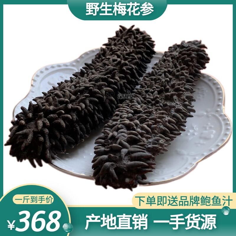 澳洲梅花参深海野生淡干海参凤梨刺参干货非大连水产即食500g包邮