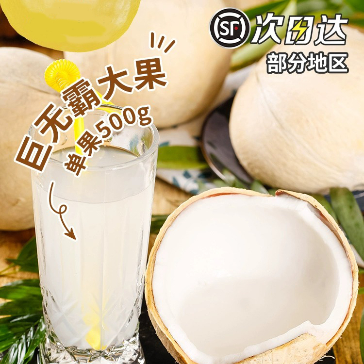 泰国牛奶椰皇椰子肉新鲜奶椰水果整箱当季孕妇现摘椰青奶椰宝顺丰