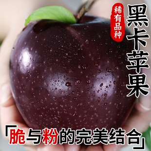 云南昭通黑卡苹果黑钻苹果黑色纯甜苹果新水果鲜当季整箱13斤包邮