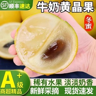 5斤云南冬蜜黄晶果当季新鲜黄金果水果稀有雅美果整箱包邮牛奶果