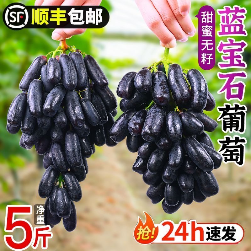 顺丰新鲜水果蓝宝石金手指黑手指葡萄黑提子黑葡萄拇指葡萄水果