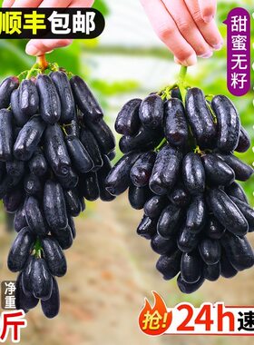 顺丰新鲜水果蓝宝石金手指黑手指葡萄黑提子黑葡萄拇指葡萄水果