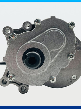 羚鹰MY1016Z永磁直流有刷低速二级减速电动车电机24V250W轮椅电机