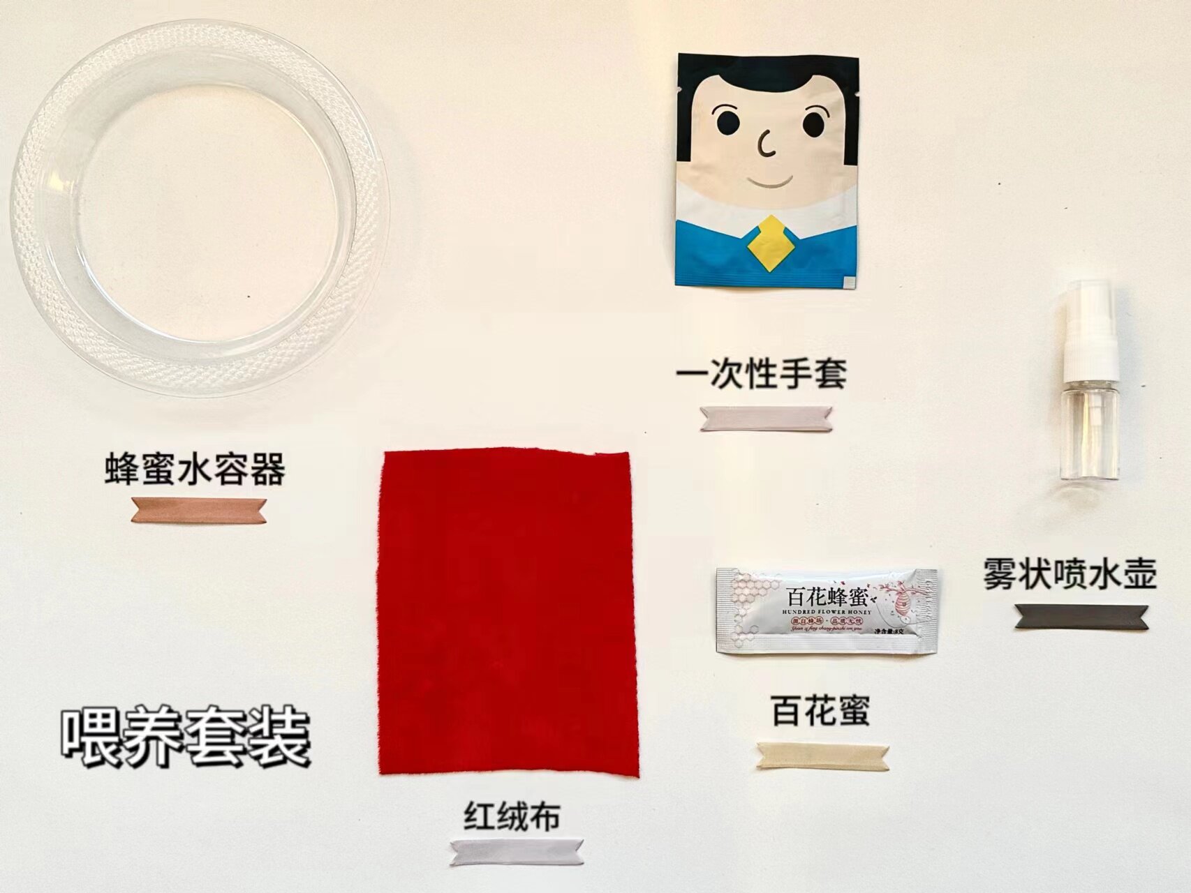 나비 다양한 나비 번데기 살아있는 나비 번데기 부화 부모와 자식 관찰 대중 과학 연구 선물 새로운 귀여운 애완동물로 변신 가능
