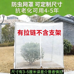 农用果树果园蔬菜大棚防虫网大棚杨梅樱桃树莲雾罗幔蓝莓网罩网套
