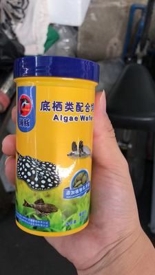 底栖水晶虾清道夫鱼食