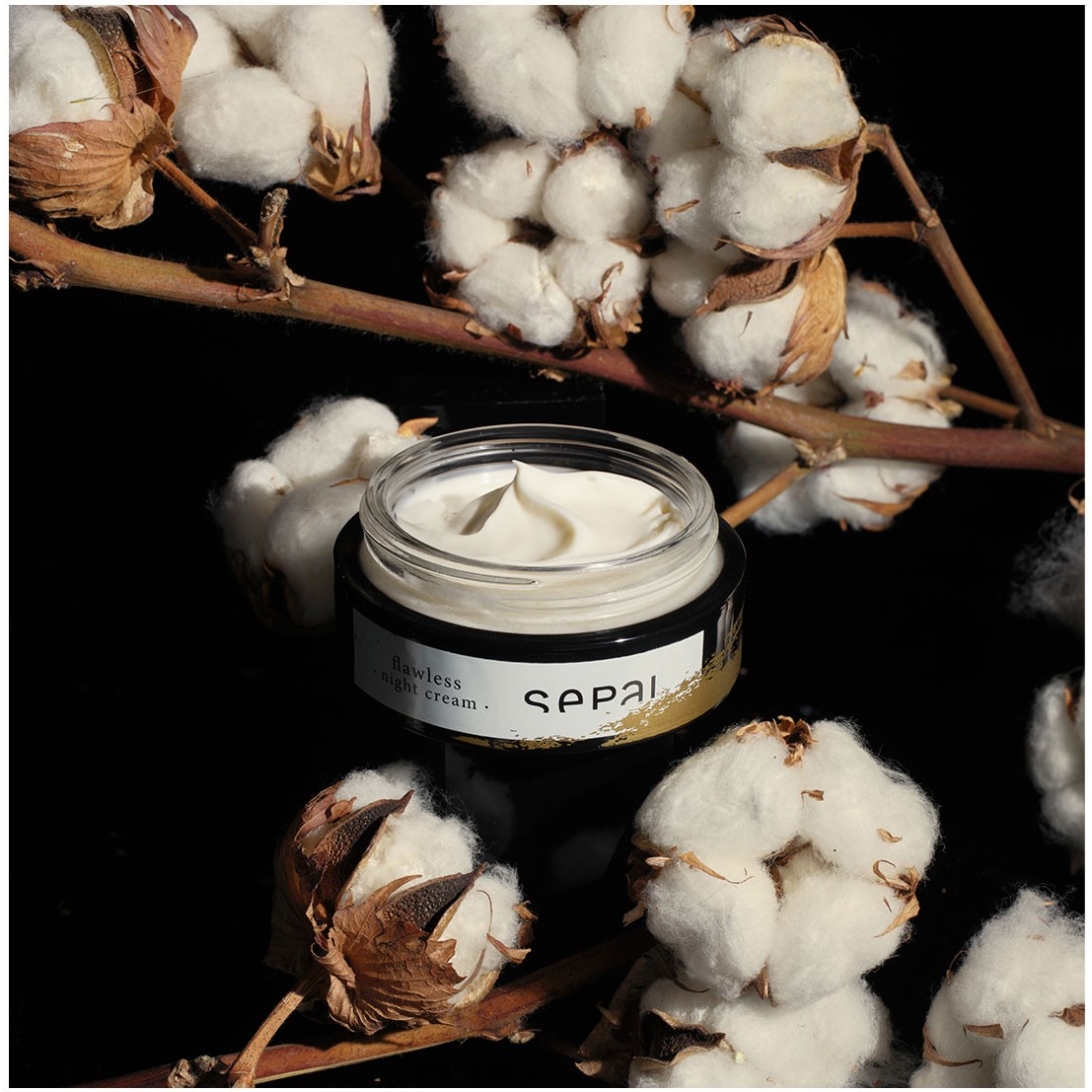 预 建筑大师24小时抗老 西班牙贵妇SEPAI无瑕之夜密集亮肤晚霜50g