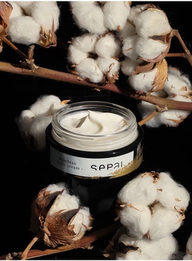 预 建筑大师24小时抗老 西班牙贵妇SEPAI无瑕之夜密集亮肤晚霜50g