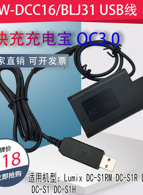 DMW-BLJ31/DCC16假电池USB适用松下DC-S1 DC-S1M DCS1R外接充电宝