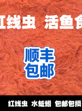 红线虫水蚯蚓红丝虫活鱼食水族宠物活体饲料鲜活观赏鱼营养高蛋白