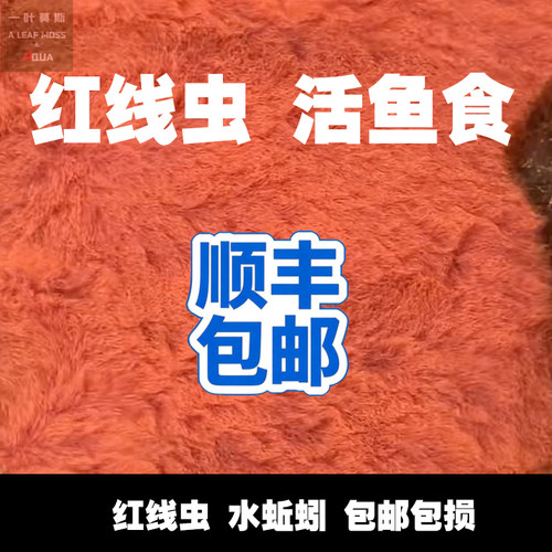 鲜活红线虫水蚯蚓观赏鱼活饵