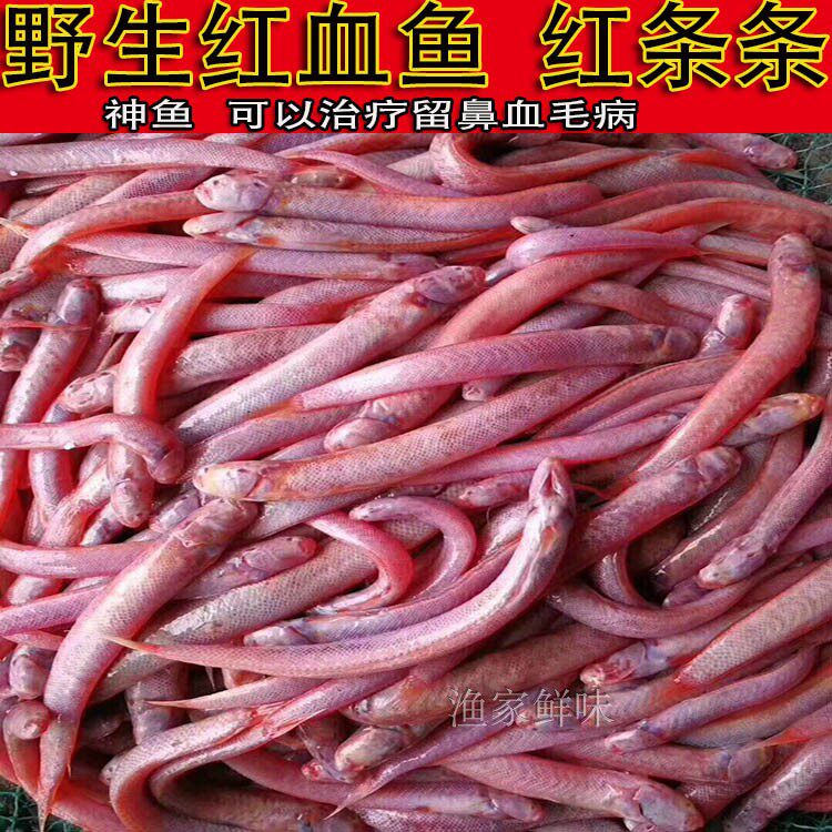 潮汕赤岭鱼新鲜海鲜红头鱼红条条冷冻真空500g