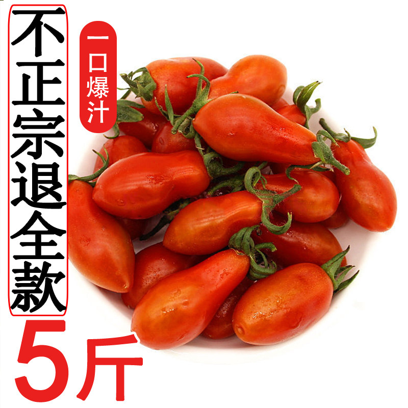 丹东圣女果现摘新鲜小柿子草莓碱地柿子圣女果小番茄孕妇水果5斤,水产肉类/新鲜蔬果/熟食,番茄,淘宝优惠券,粉丝福利购,淘宝优惠卷