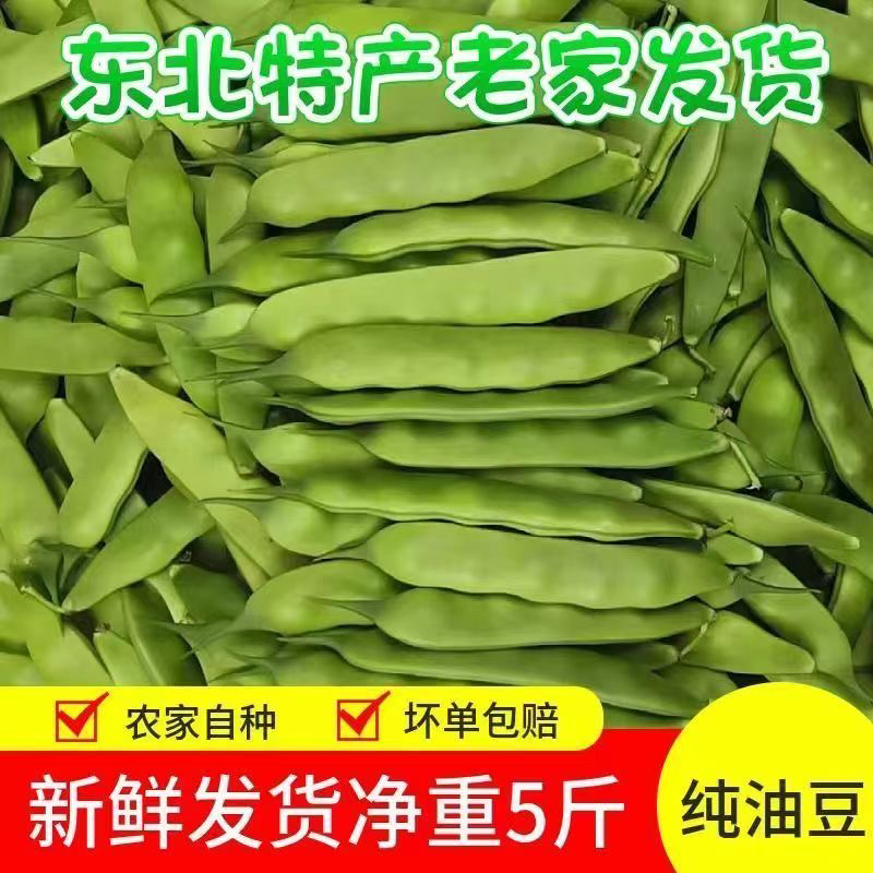 顺丰包邮 正宗东北油豆角新鲜蔬菜开锅烂现摘现发5斤装坏果包赔