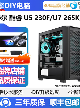 英特尔15代Ultra 5-230F 265K 蓝戟B580 RTX5060组装电脑DIY整机