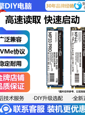 十铨MP33PRO/ MP44 1T  M.2 PCIE4.0/3.0 高速固态硬盘 NAME协议