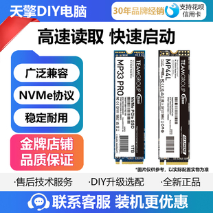M.2 MP44 NAME协议 3.0 高速固态硬盘 PCIE4.0 十铨MP33PRO