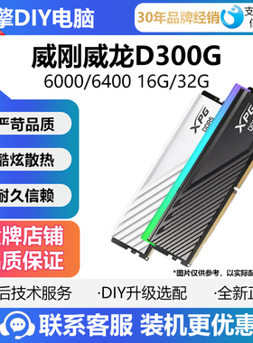 威刚DDR5 D300 16G/24G 6000 6400 32G台式电脑内存条 D500G灯条