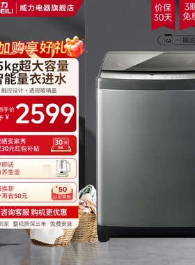 威力15公斤全自动洗衣机家用大容量波轮商用租房酒店XQB150-2119X