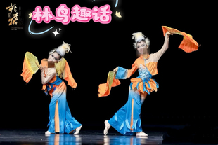 舞韵古典舞双人舞林鸟趣话羽毛灵动古 装表演服演出服头饰道具