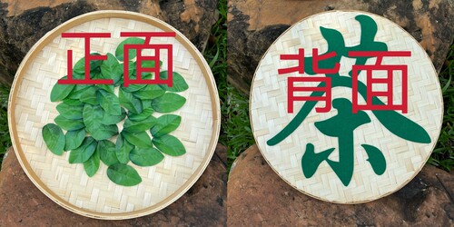 竹簸箕采茶姑娘幼儿儿童舞蹈茶韵云雾茶香引竹编舞蹈簸箕径山寻茶