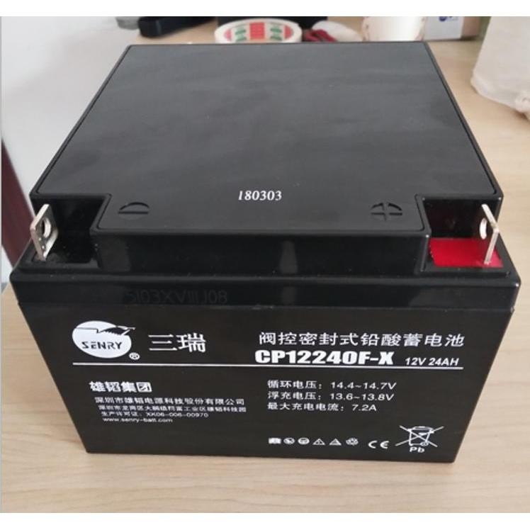 三瑞阀控密封式CP12240 12V24AH蓄电池CO12170 12V17AH X雄韬应急