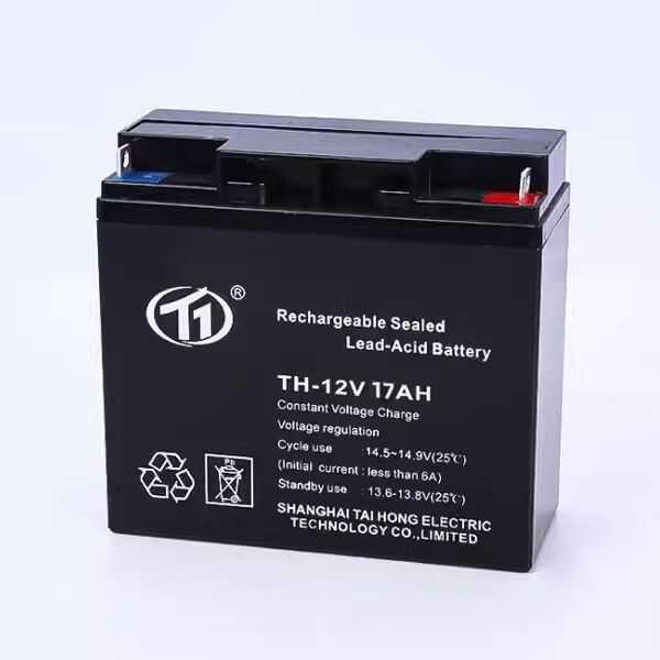 台洪蓄电池TH-12V40AH24a20a100a17a120a80a65ah消防EPS直流屏UPS
