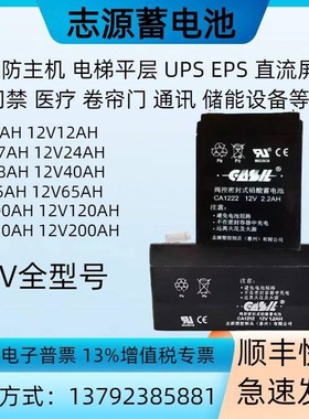 CASIL志源蓄电池CA1212阿兰德防火卷帘门12V1.2AH2.2AH4AH7AH备用