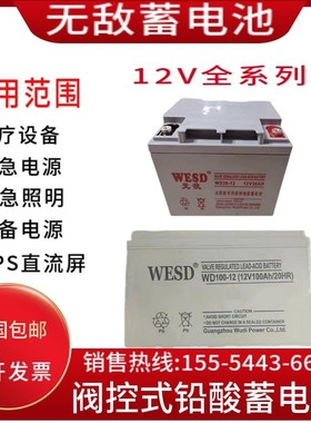 WESD无敌蓄电池WD65-127A12A17A24A38A40A55A65A100A120A150A应急