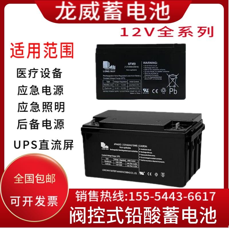龙威蓄电池6FM-24/12V7A14A24A38A65A100A120A通讯机房/EPS直流屏