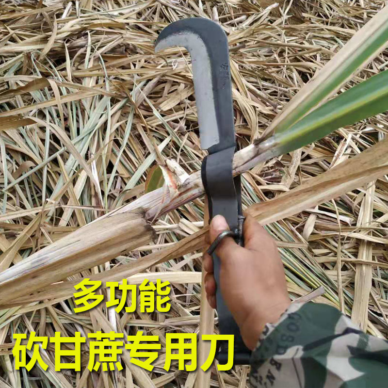 越南甘蔗专用剥叶刀修甘蔗刮推叶子神器多功能甘蔗刀剥砍甘蔗除叶