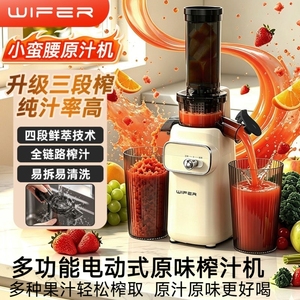 迷你榨汁机原汁机全自动果汁榨汁